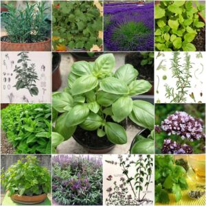 Alternatywy dla soli: Czym zastąpić sól w diecie, by nie stracić smaku?