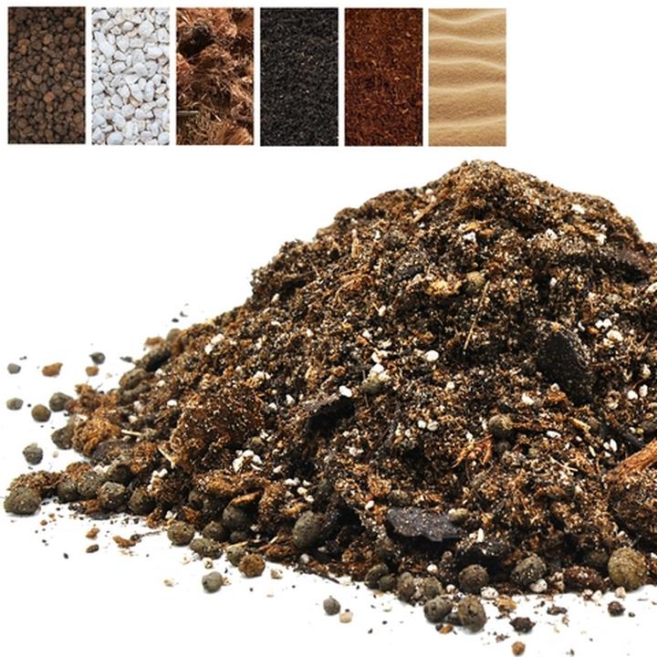 Historia przypraw w polskiej kuchni