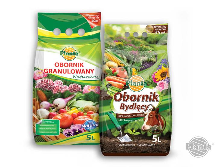 Rośliny strączkowe jako źródło azotu