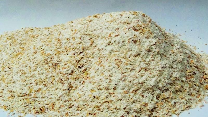 Wybór zbóż na mąkę razową