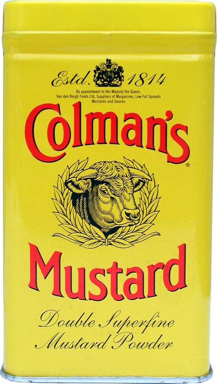 Zamienniki musztardy w proszku