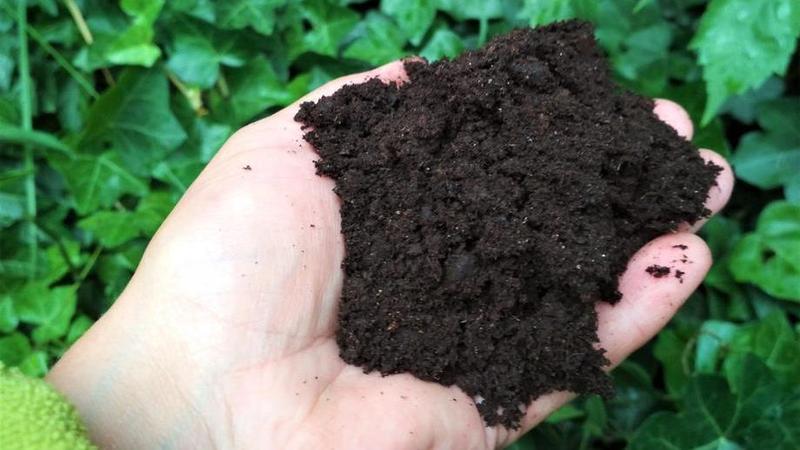 Zrównoważone praktyki rolnicze