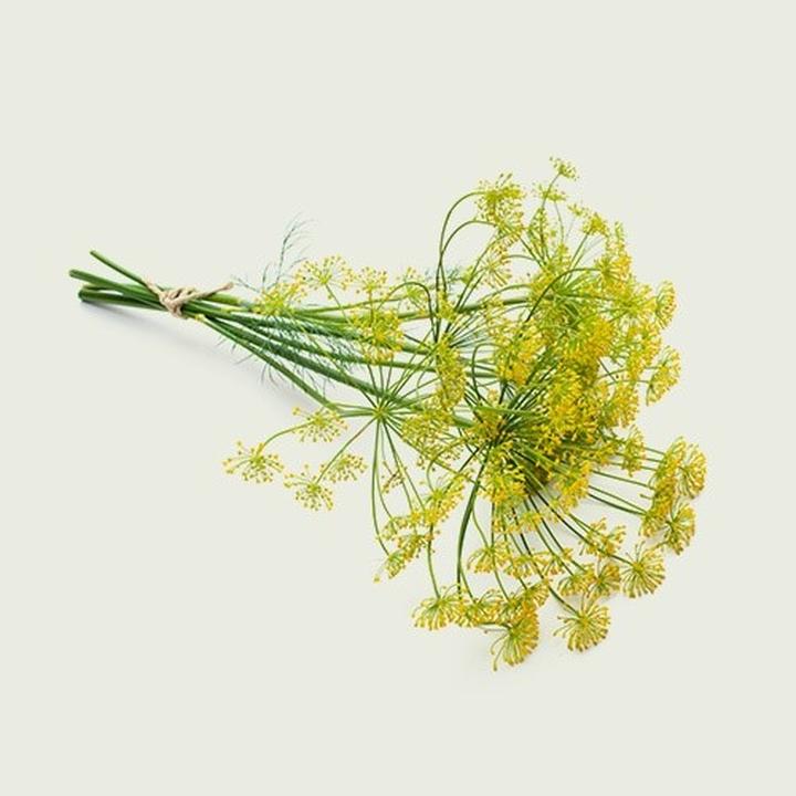 Odkryj, jaka przyprawa najlepiej podkreśli smak łososia