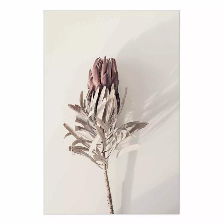 Tropikalny pąk jako niezwykła przyprawa w Twojej kuchni