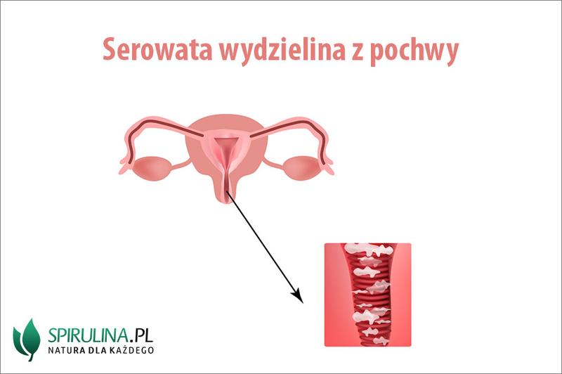 Biochemia wydzieliny pochwowej