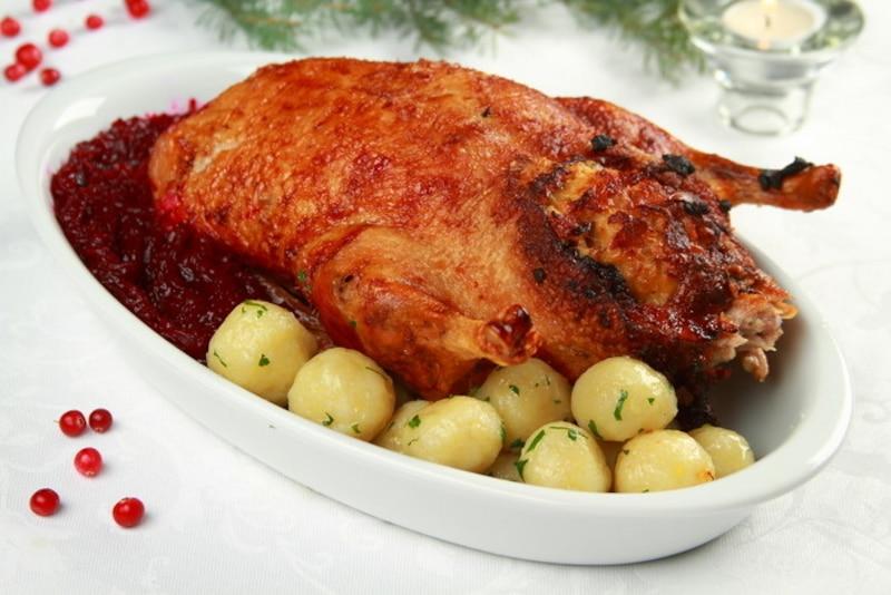 Piekarnik elektryczny vs gazowy gęsina