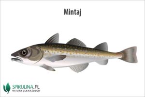 Jak długo smażyć mintaja, aby uzyskać idealny smak?