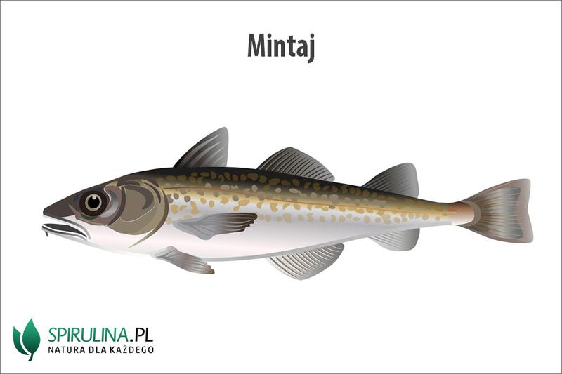 Jak długo smażyć mintaja, aby uzyskać idealny smak?