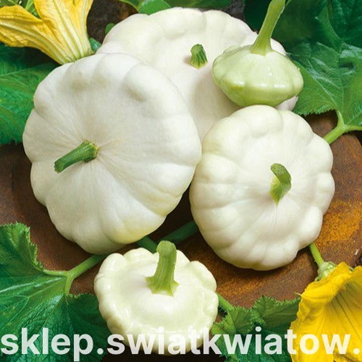 Odkryj smak patisona: co warto wiedzieć o tej wyjątkowej warzywnej uczcie?