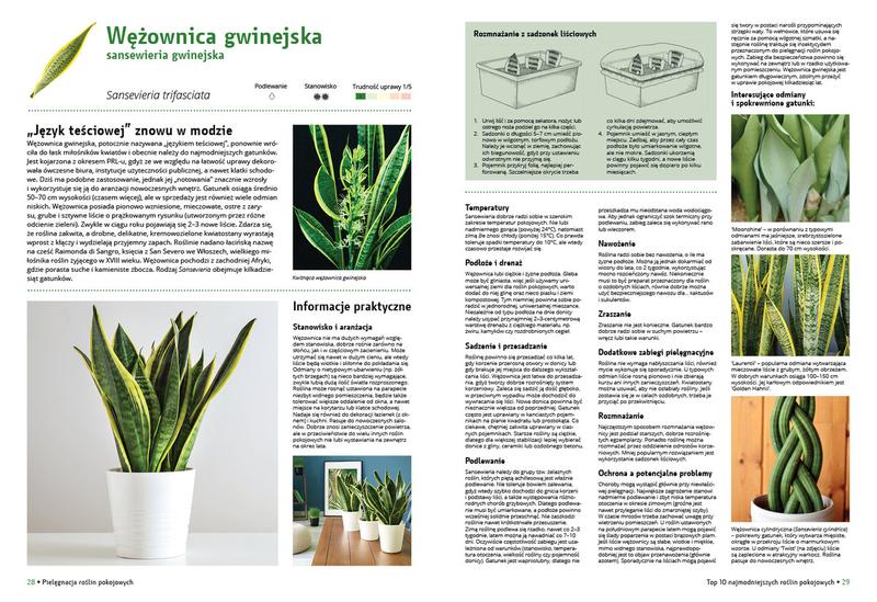 Ekologiczne substytuty maści ogrodniczej