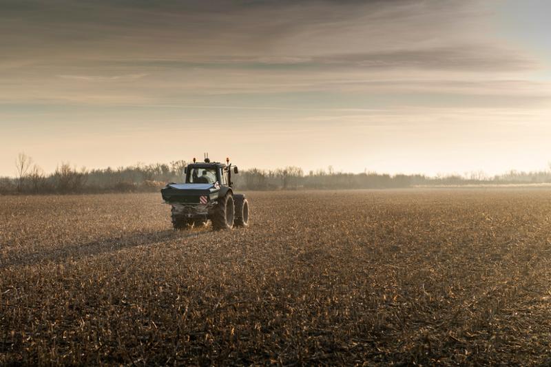 Alternatywne nawozy: Czym zastąpić polifoskę w ogrodzie?