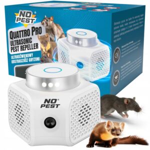 Jakie przyprawy skutecznie odstraszają myszy?