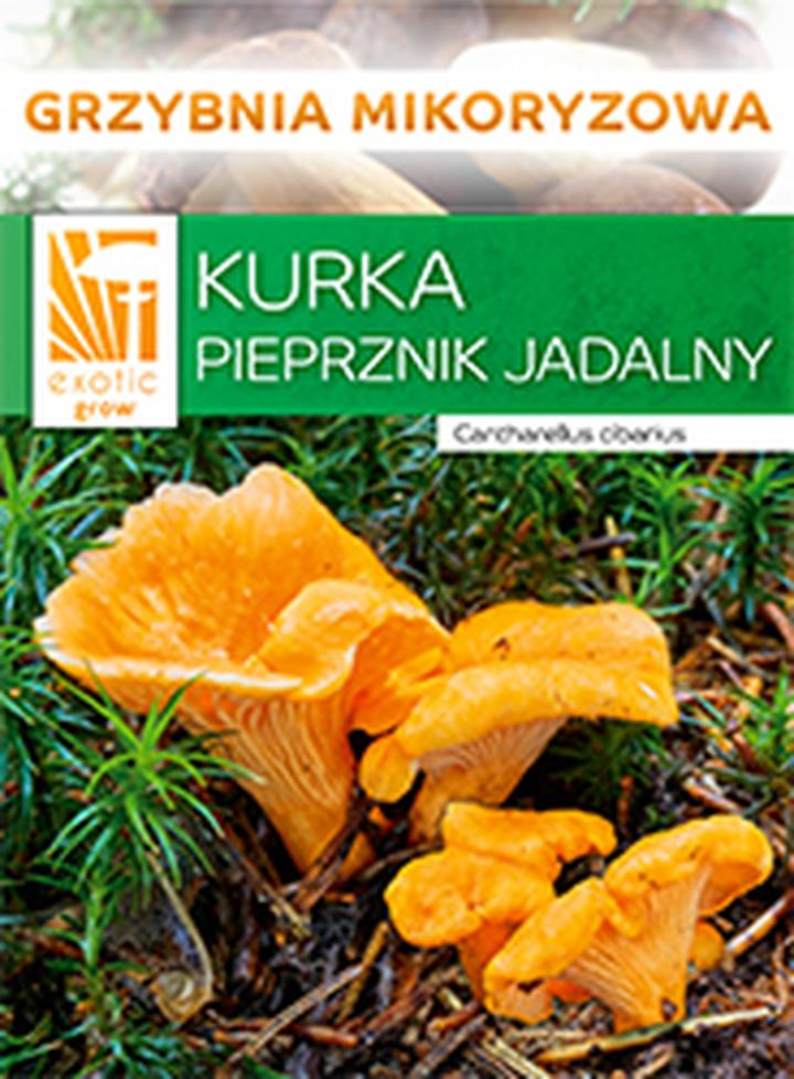 Przygotowanie kurek do smażenia