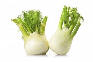 Odkryj smak fenkułu: aromatyczna podróż do kulinarnych smaków