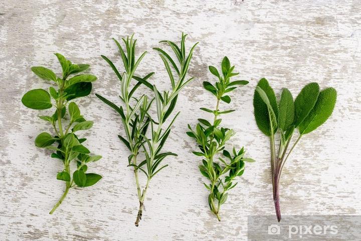 Zioła o podobnym smaku do oregano